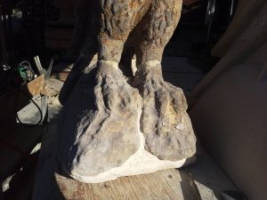 the claws of the sandstone falcon