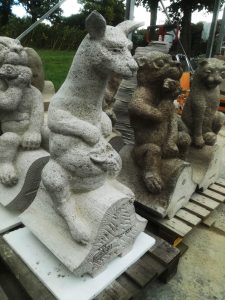 Kangoeroe met ezelstaart