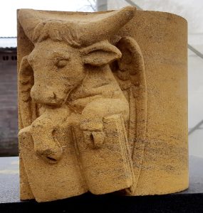 kraagsteentje Stier Lucas Veghel