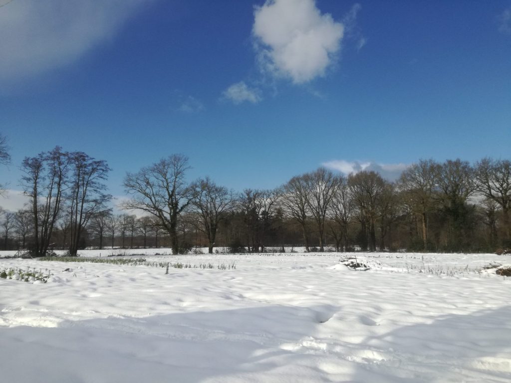 Van Velzen sculptor overlooks snowy fields this winter