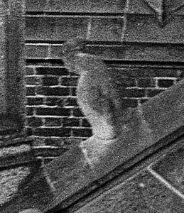 grainy picture of flying buttresses figurine Razorbill on the Eusebius Church in original condition