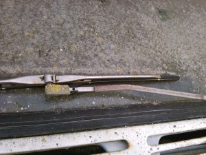korstmossen op autoruit2
